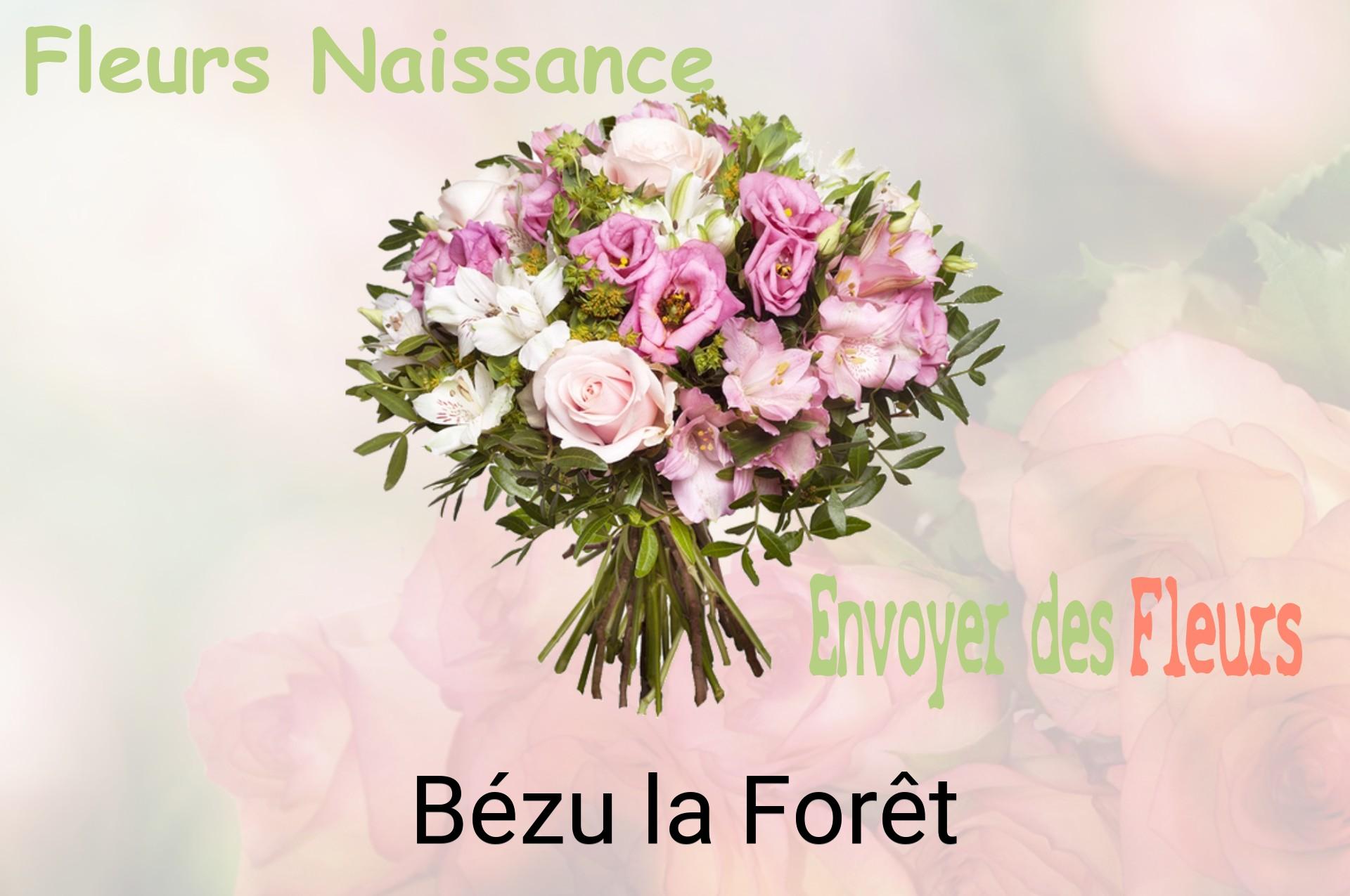 Bouquet de fleurs de naissance livré à Bézu-la-Forêt
